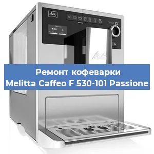 Замена прокладок на кофемашине Melitta Caffeo F 530-101 Passione в Краснодаре